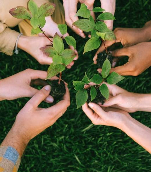 pexels-photo-5029853