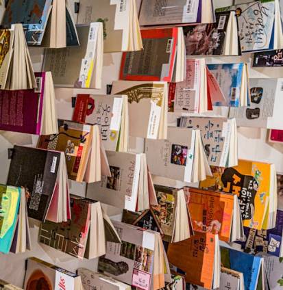 pexels-photo-6684896